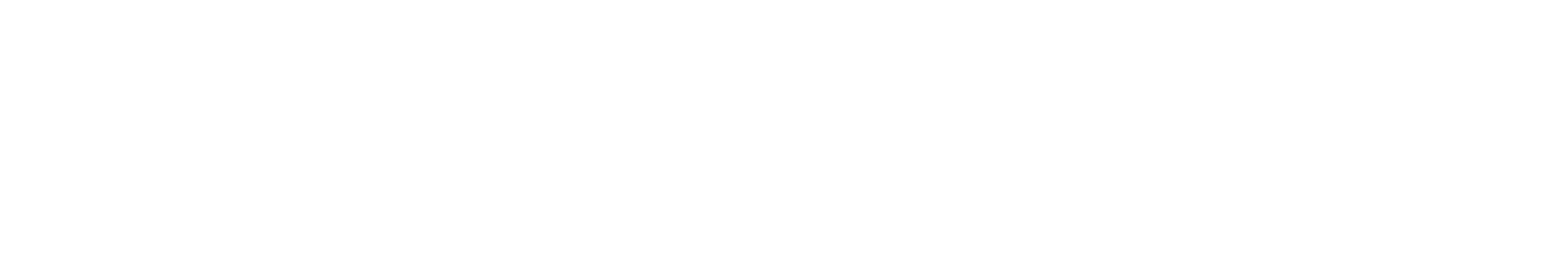 ZPay LLC